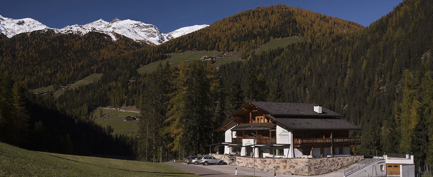 Das Hotel Arnstein mit Wäldern und verschneiten Bergen im Hintergrund